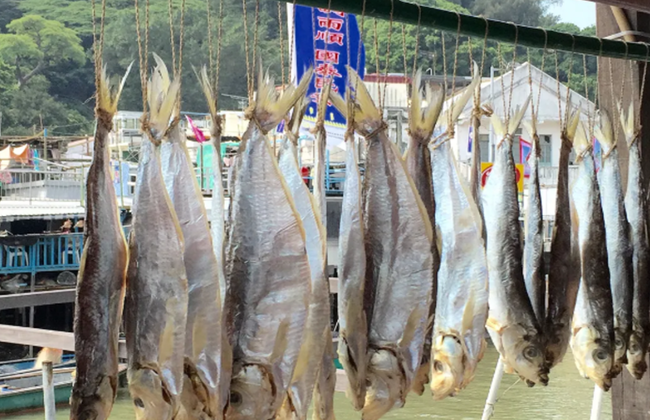 Lantau Island: Big Buddha, Cable-Car and Tai O - Private Full-Day Tour - Foto 2